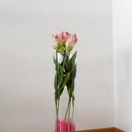 Apartman Karlic アパート *